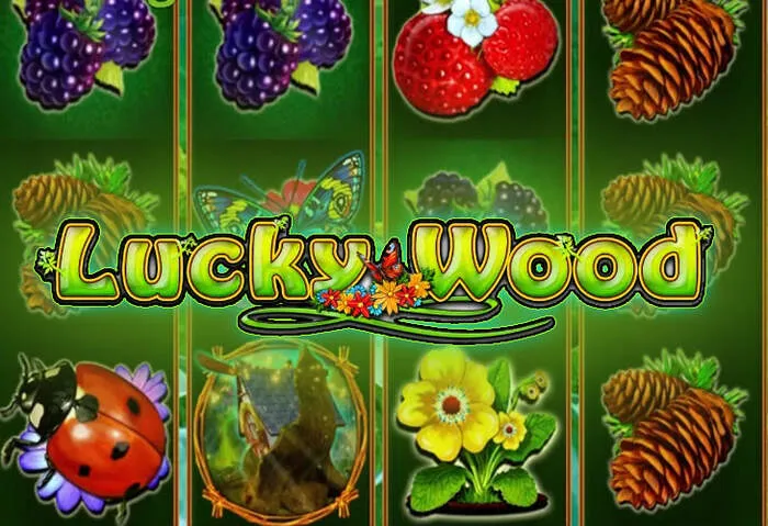 Schneller Bitguruz Casino Login zum Spielerbereich.