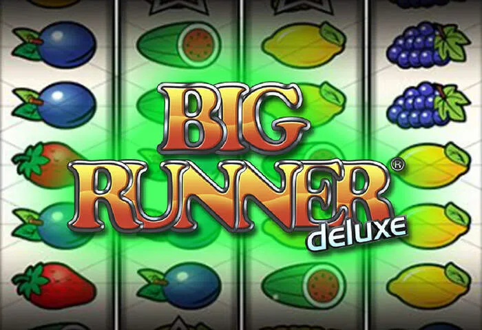 Bitguruz Casino: Die besten Online Slots für Echtgeld