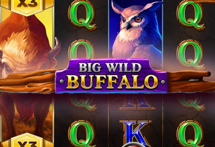 Guida dettagliata per Come Richiedere il Bonus Senza Deposito Bitguruz Casino.