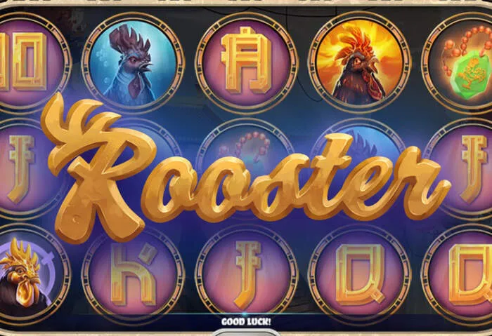 Esclusivi Bonus Bitguruz Casino per giocatori fedeli.